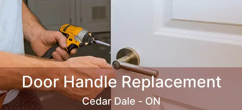  Door Handle Replacement Cedar Dale - ON