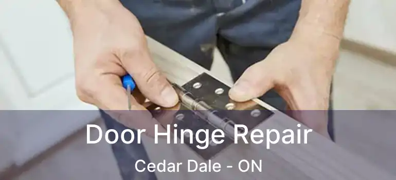  Door Hinge Repair Cedar Dale - ON