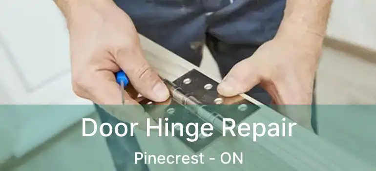  Door Hinge Repair Pinecrest - ON