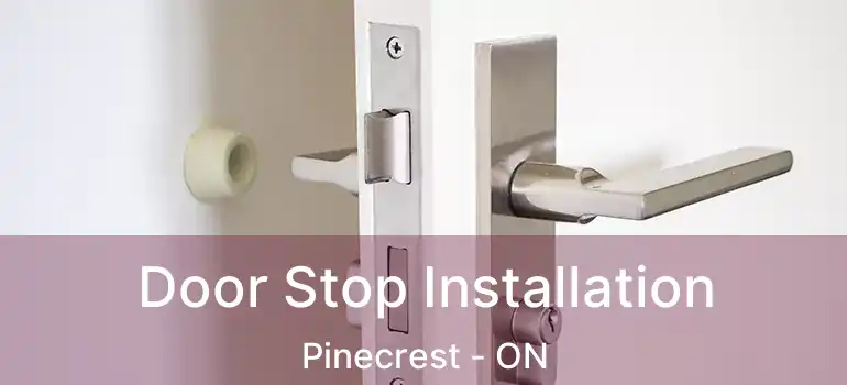  Door Stop Installation Pinecrest - ON