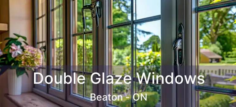  Double Glaze Windows Beaton - ON