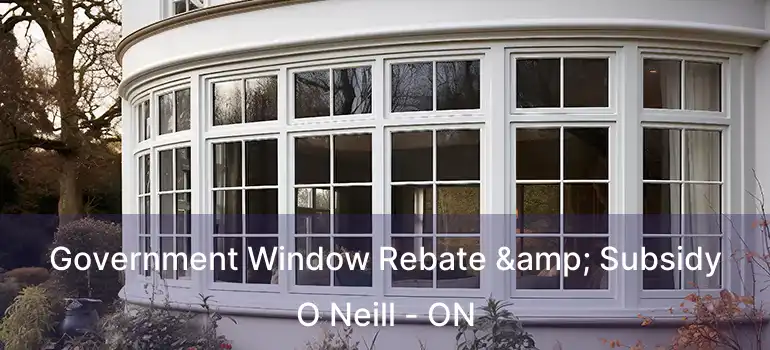  Government Window Rebate & Subsidy O Neill - ON