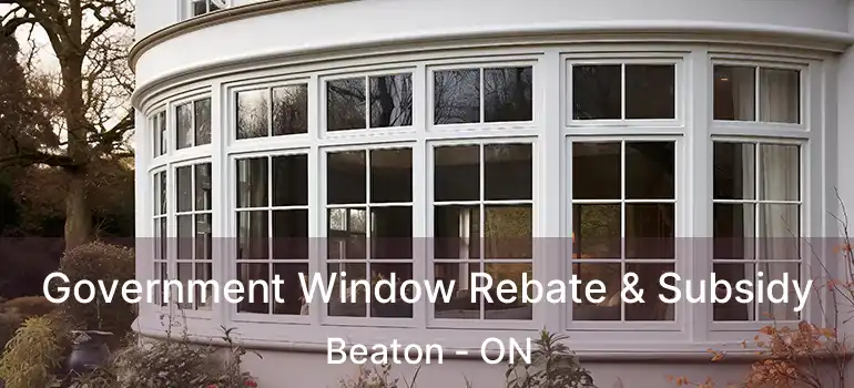  Government Window Rebate & Subsidy Beaton - ON