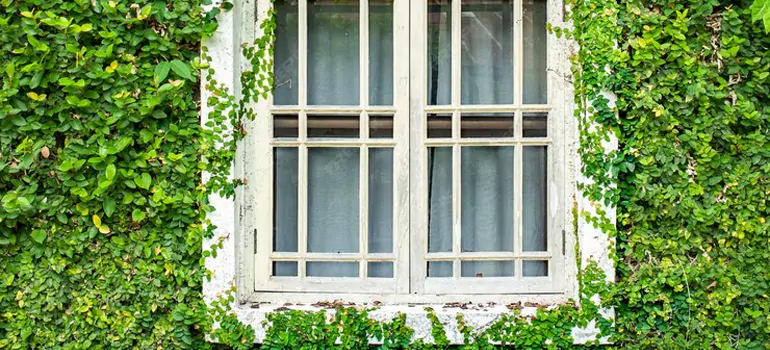 arden Window Repair Near Me in Columbus, ON