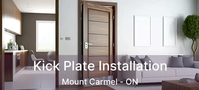  Kick Plate Installation Mount Carmel - ON