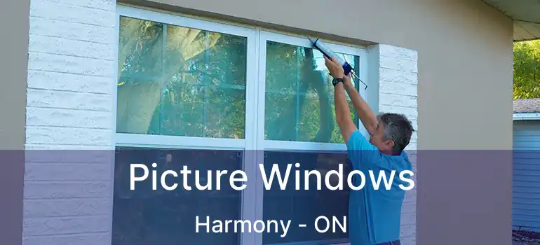  Picture Windows Harmony - ON