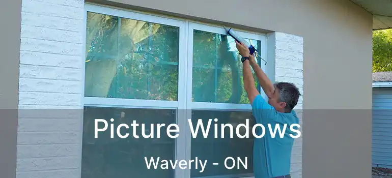  Picture Windows Waverly - ON