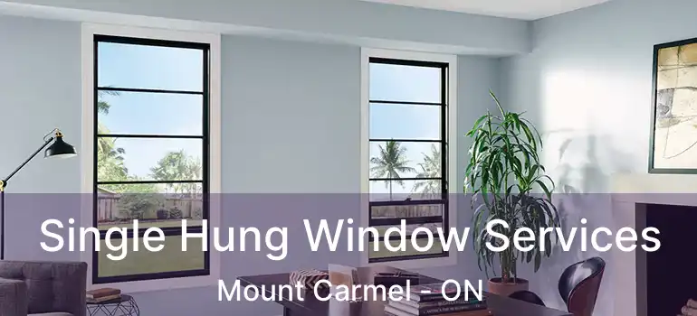  Single Hung Window Services Mount Carmel - ON