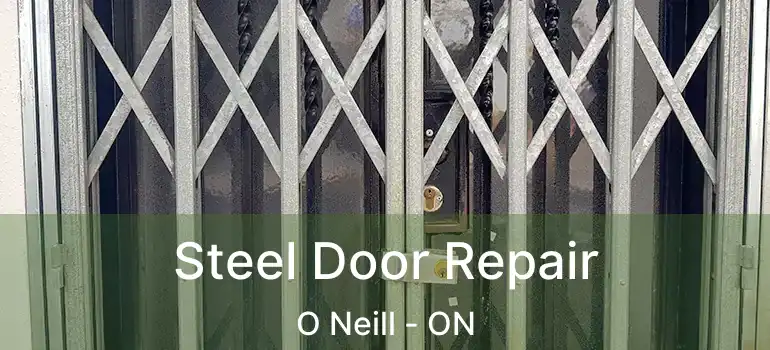  Steel Door Repair O Neill - ON