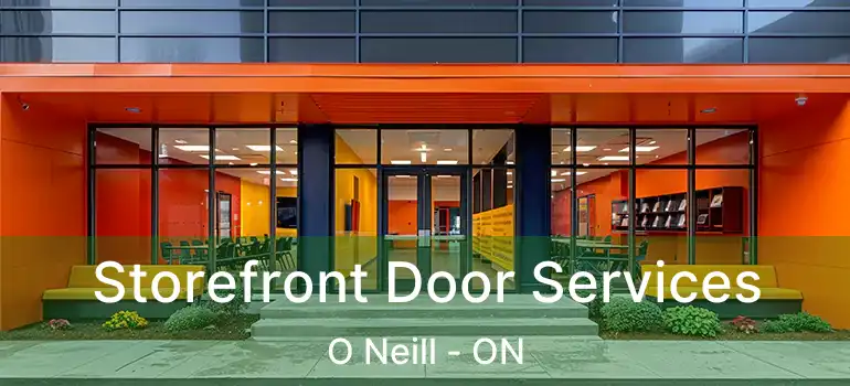  Storefront Door Services O Neill - ON
