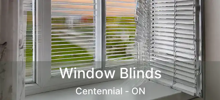  Window Blinds Centennial - ON
