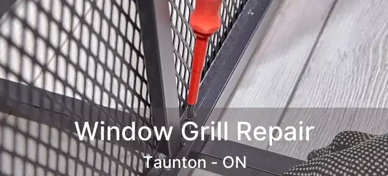  Window Grill Repair Taunton - ON