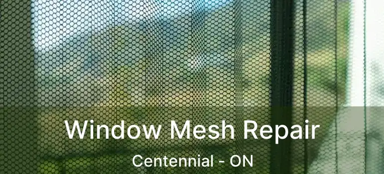  Window Mesh Repair Centennial - ON