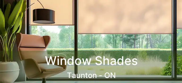  Window Shades Taunton - ON